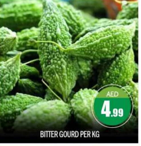  Bitter Gourd  in BIGmart in UAE - Abu Dhabi