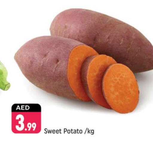  Sweet Potato  in Shaklan  in UAE - Dubai