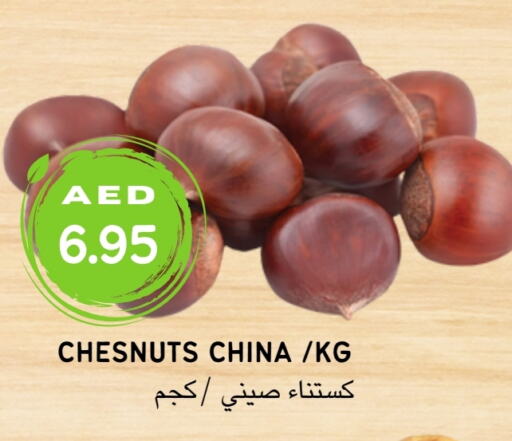    in Select Market  in الإمارات العربية المتحدة , الامارات - أبو ظبي