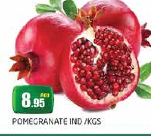  Pomegranate  in PASONS GROUP in UAE - Dubai