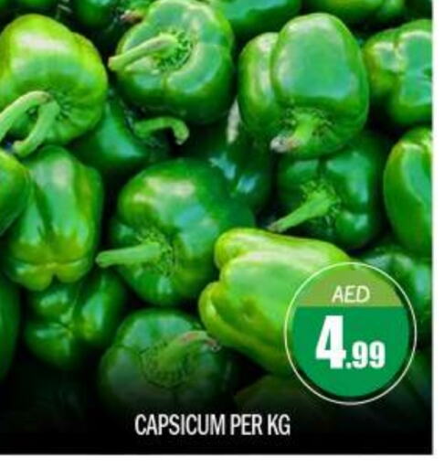  Chilli / Capsicum  in BIGmart in UAE - Abu Dhabi