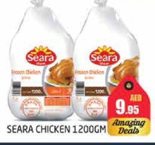 SEARA Frozen Whole Chicken  in PASONS GROUP in UAE - Dubai