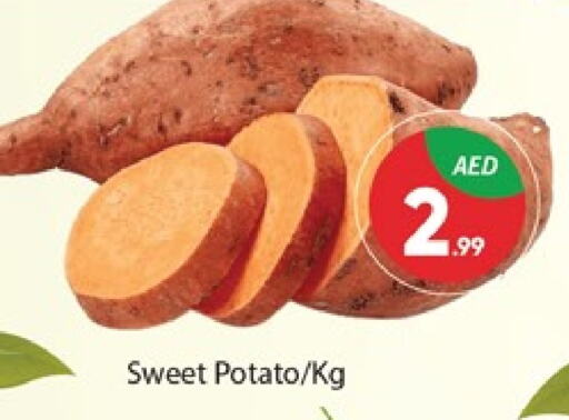  Sweet Potato  in Al Madina  in UAE - Dubai