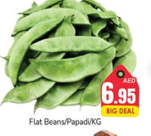  Beans  in PASONS GROUP in UAE - Fujairah