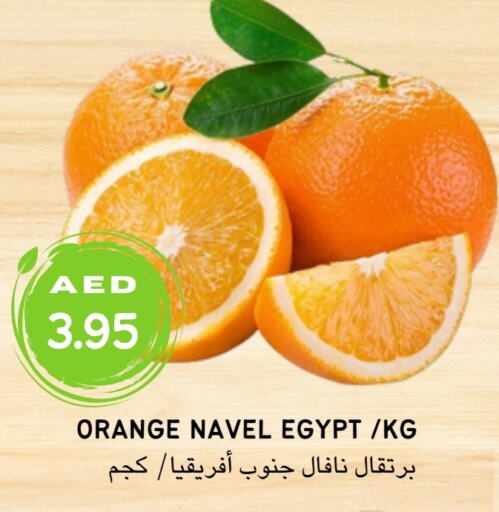  برتقال  in Select Market  in الإمارات العربية المتحدة , الامارات - أبو ظبي