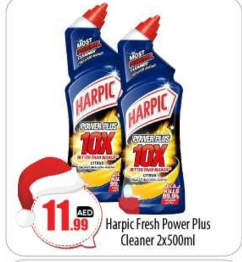 HARPIC Toilet / Drain Cleaner  in BIGmart in UAE - Abu Dhabi