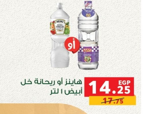 HEINZ Vinegar  in Panda  in Egypt - Cairo