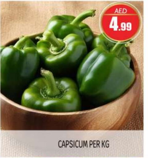  Chilli / Capsicum  in BIGmart in UAE - Abu Dhabi