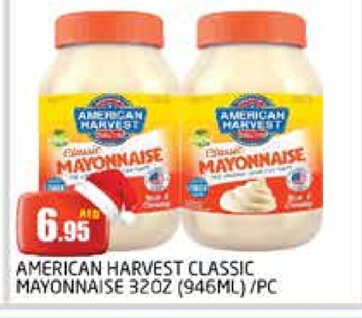  Mayonnaise  in PASONS GROUP in UAE - Dubai