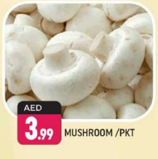  Mushroom  in Shaklan  in UAE - Dubai