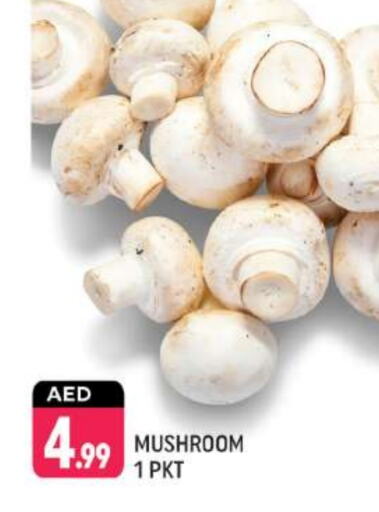  Mushroom  in Shaklan  in UAE - Dubai