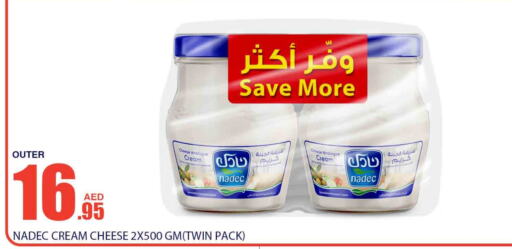 NADEC Analogue cream  in Bismi Wholesale in UAE - Dubai