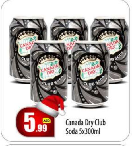 CANADA DRY   in BIGmart in UAE - Abu Dhabi