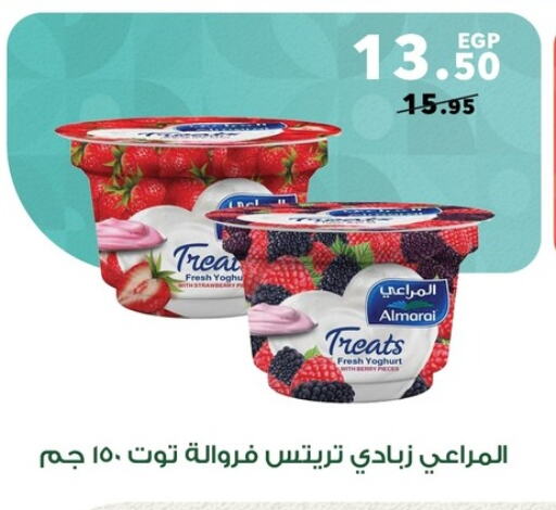 ALMARAI Yoghurt  in Panda  in Egypt - Cairo