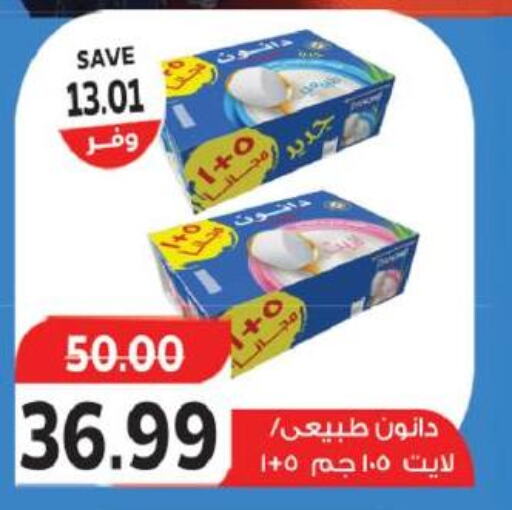 DANONE   in The Mart  in Egypt - Cairo