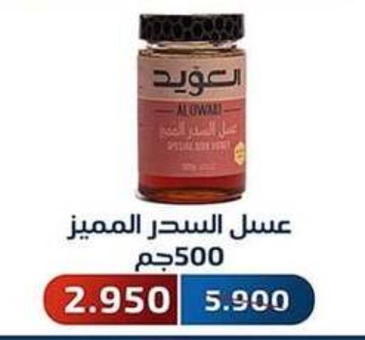  Honey  in Al Fahaheel Co - Op Society in Kuwait - Jahra Governorate