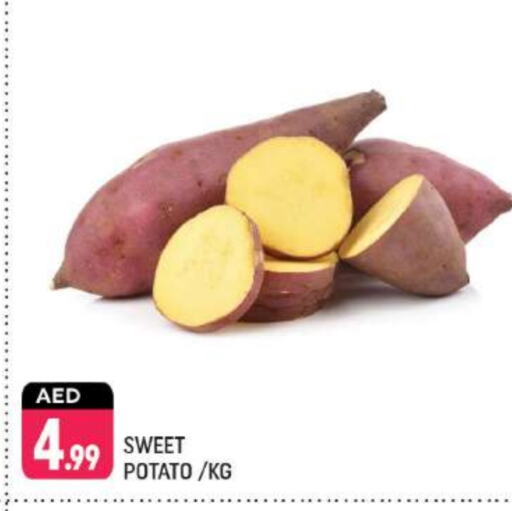  Sweet Potato  in Shaklan  in UAE - Dubai