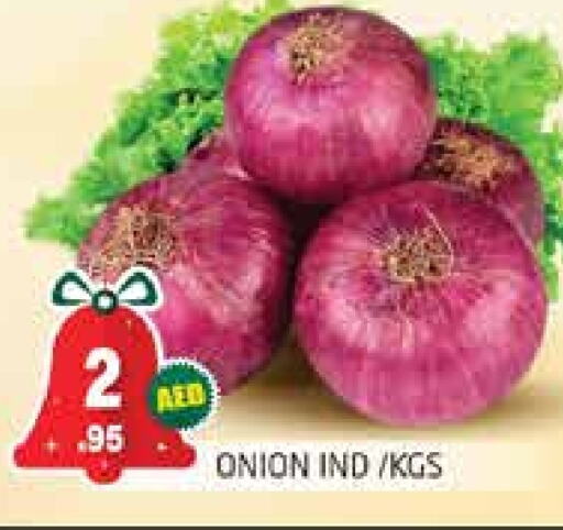  Onion  in PASONS GROUP in UAE - Dubai