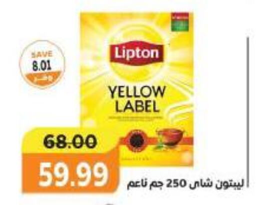 Lipton   in The Mart  in Egypt - Cairo