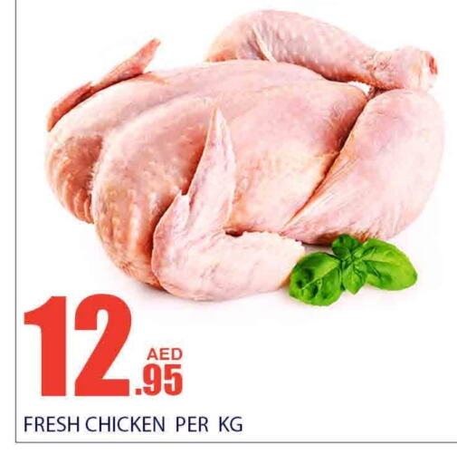  Fresh Whole Chicken  in Bismi Wholesale in UAE - Fujairah