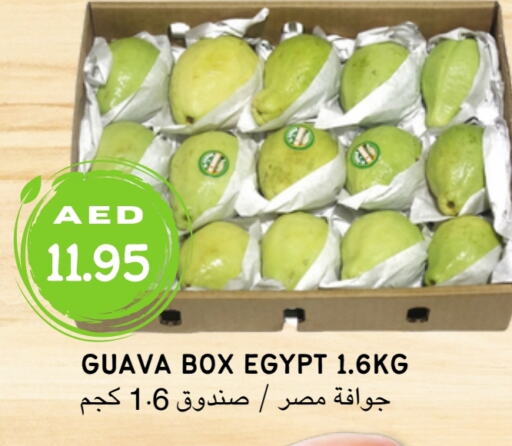  جوافة  in Select Market  in الإمارات العربية المتحدة , الامارات - أبو ظبي