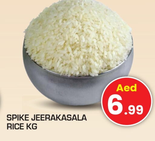  Jeerakasala Rice  in Baniyas Spike  in UAE - Umm al Quwain