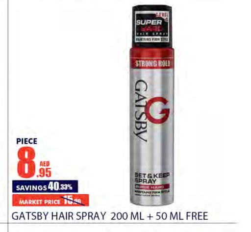  Hair Gel & Spray  in Bismi Wholesale in UAE - Dubai