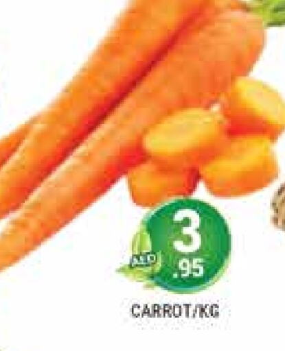  Carrot  in PASONS GROUP in UAE - Dubai