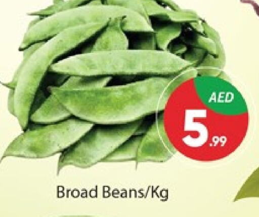  Beans  in Al Madina  in UAE - Dubai