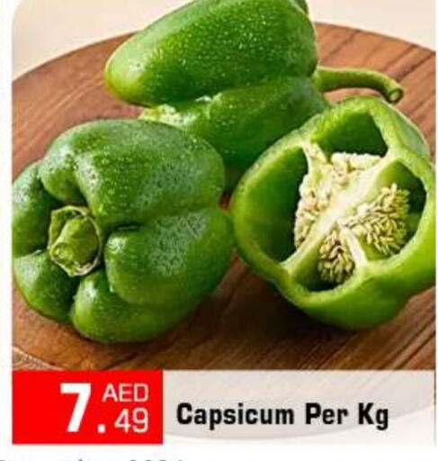  Chilli / Capsicum  in BIGmart in UAE - Abu Dhabi