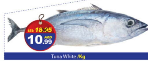  Tuna  in DESERT FRESH MARKET  in UAE - Abu Dhabi