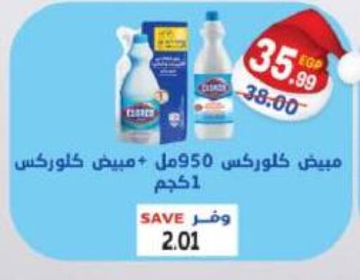 CLOROX General Cleaner  in The Mart  in Egypt - Cairo