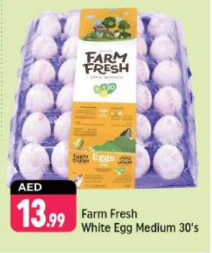 FARM FRESH   in Shaklan  in UAE - Dubai