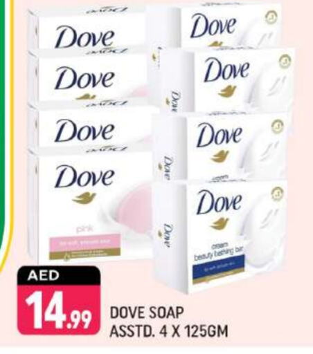 DOVE   in Shaklan  in UAE - Dubai