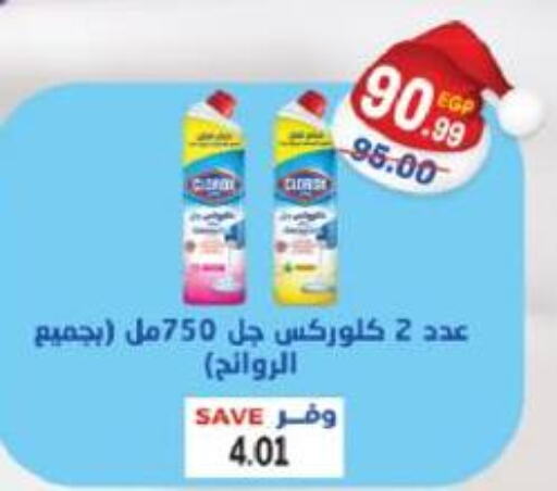 CLOROX General Cleaner  in The Mart  in Egypt - Cairo