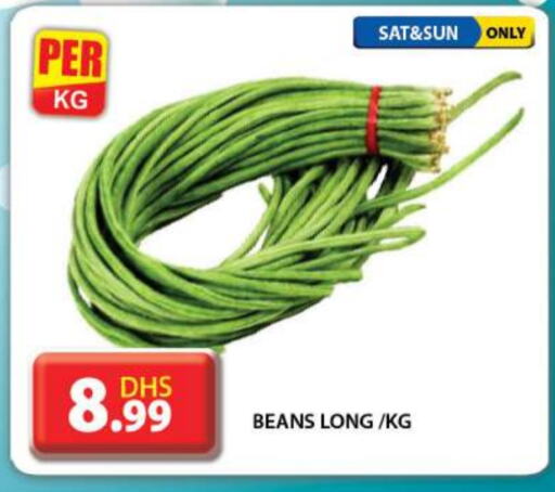  Beans  in Grand Hyper Market in UAE - Dubai