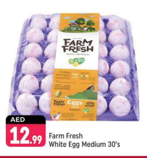 FARM FRESH   in Shaklan  in UAE - Dubai