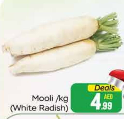  Radish  in FOODZONE SUPERMARKET in UAE - Ras al Khaimah