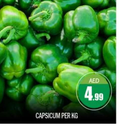  Chilli / Capsicum  in BIGmart in UAE - Abu Dhabi