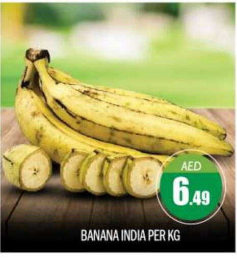  Banana  in BIGmart in UAE - Abu Dhabi