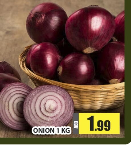  Onion  in Al Madina  in UAE - Dubai