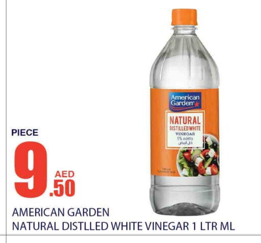 AMERICAN GARDEN Vinegar  in Bismi Wholesale in UAE - Dubai