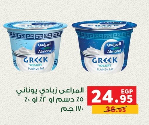 ALMARAI Greek Yoghurt  in Panda  in Egypt - Cairo