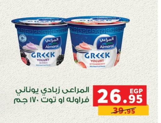 ALMARAI Greek Yoghurt  in Panda  in Egypt - Cairo