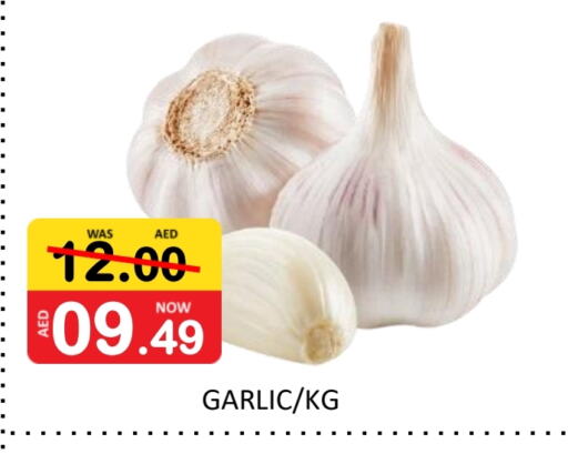  Garlic  in ROYAL GULF HYPERMARKET LLC in UAE - Abu Dhabi