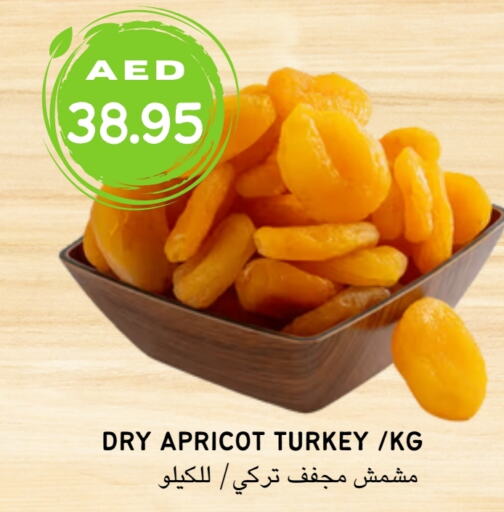    in Select Market in UAE - Abu Dhabi