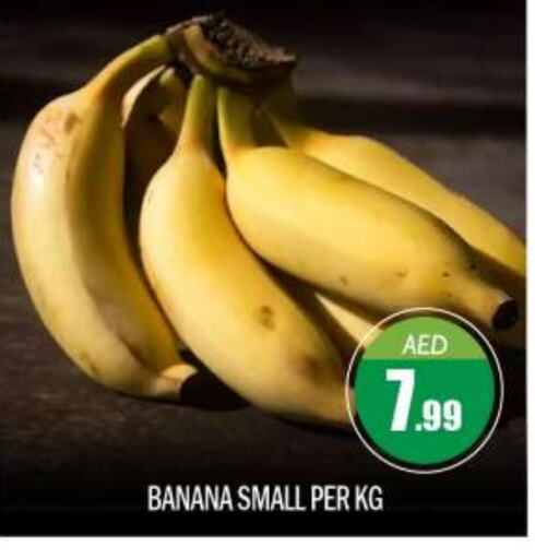  Banana  in BIGmart in UAE - Abu Dhabi