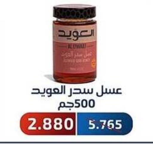  Honey  in Al Fahaheel Co - Op Society in Kuwait - Jahra Governorate