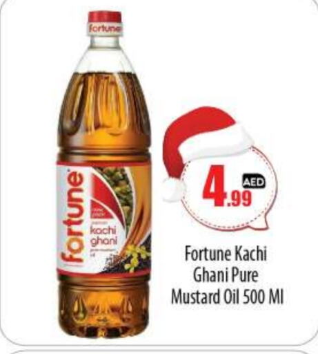 FORTUNE Mustard Oil  in BIGmart in UAE - Abu Dhabi