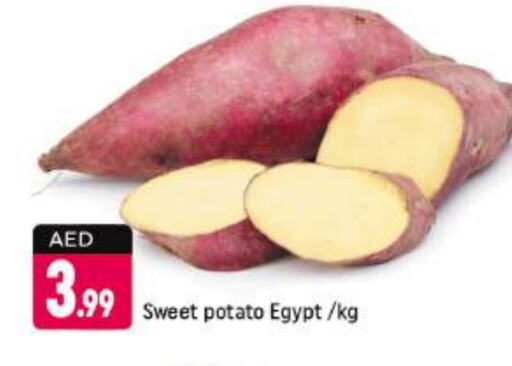  Sweet Potato  in Shaklan  in UAE - Dubai